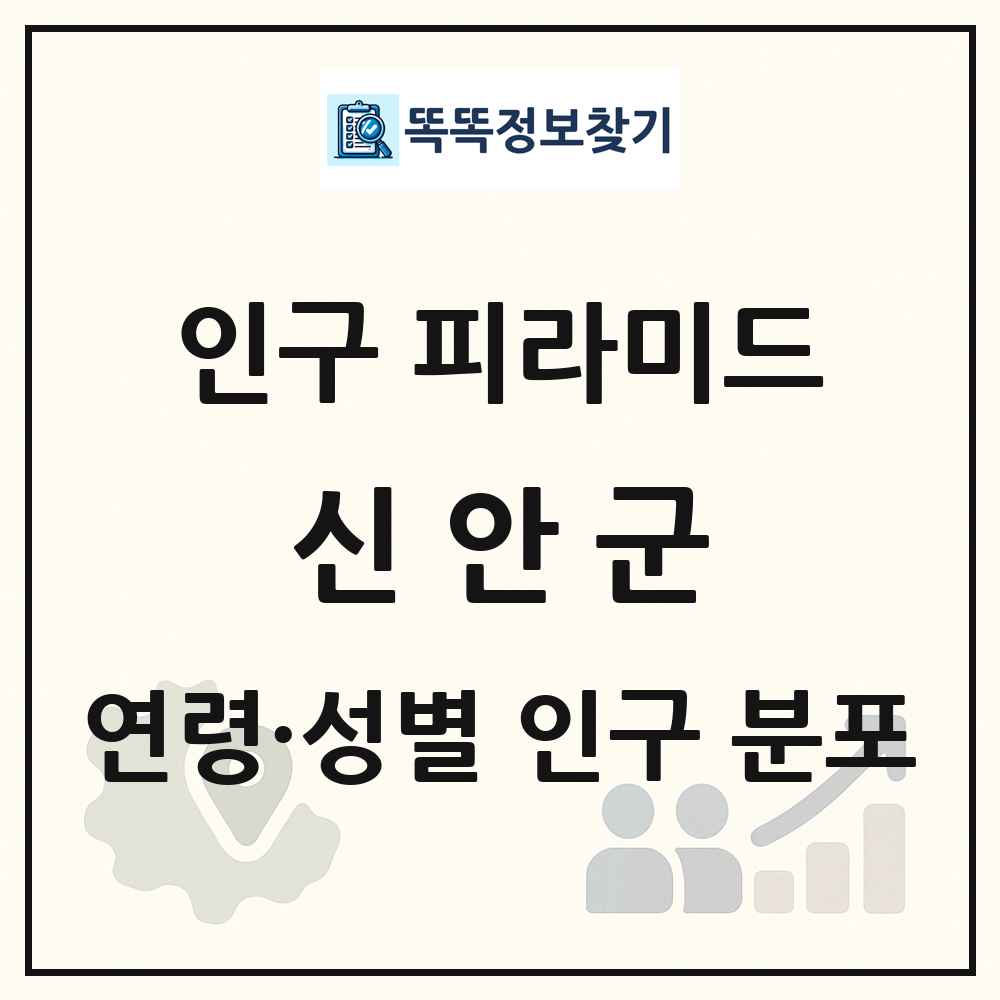 신안군 인구 피라미드 링크 그림